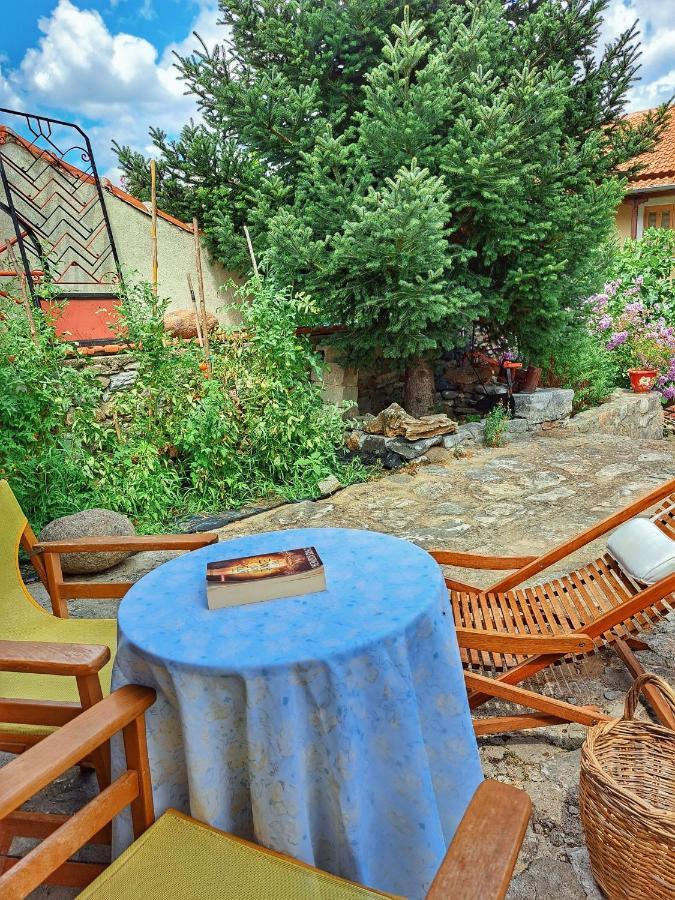 Panthea Cottage Ставруполі Екстер'єр фото